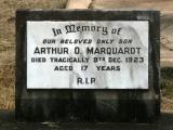 image of grave number 773658
